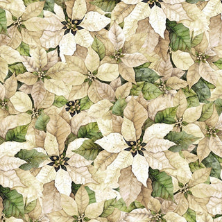 POINSETTIA RADIANCE PACKED POINSETTIA CREAM