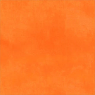 PALETTE SOLIDS CALIFORNIA POPPY 37098-120