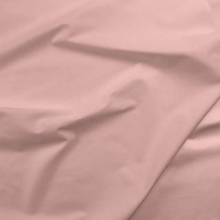 PAINTERS PALETTE SALMON 121117
