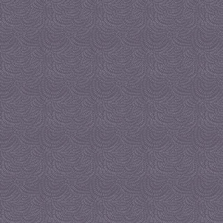 STARGAZER CRIMP DRR2293-STARGAZER