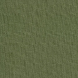 BELLA SOLIDS - KANSAS GREEN