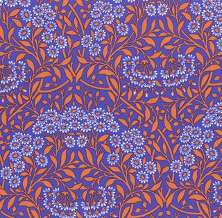 PWKW007.COBALT MICHAELMAS DAISY