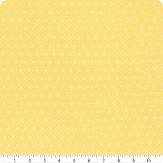 EYELET BUTTERCUP 20488-70