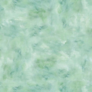COLOR STORIES MIXED WATERCOLOR TEXTURE CSTO05226LT