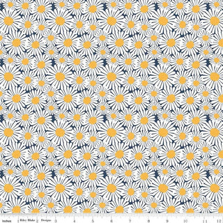 10010204
