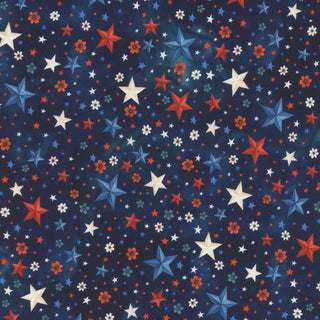 RED TRUCK ROADTRIP X5762-19