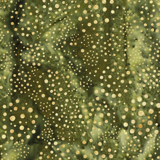 CIRCLE DOTS GREEN GECKO