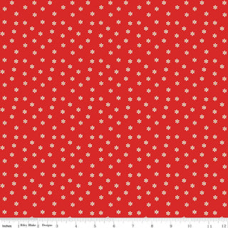 SUMMER'S IN TOWN DAISIES RED