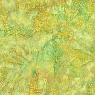 TONGA B8167 MOSS