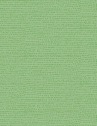 MOONSCAPE KIWI STELLA-1150