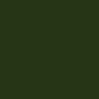 PAINTERS PALETTE FOREST 121074