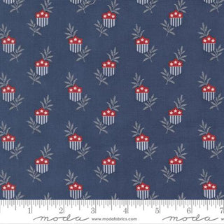 AMERICAN GATH III NAUTICAL BLUE 49320-14