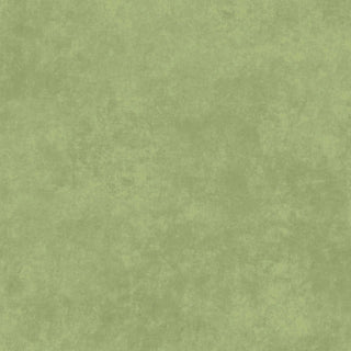 SHADOW PLAY FLANNEL THYME MASF513-GS2