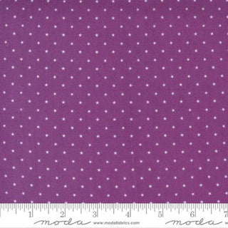 TWINKLE PLUM 24106-45