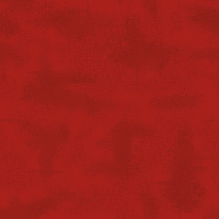 SHABBY COLOR C605-BARNRED