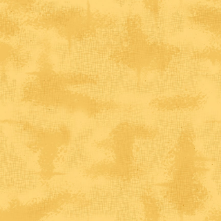 SHABBY COLOR C605-MAIZE