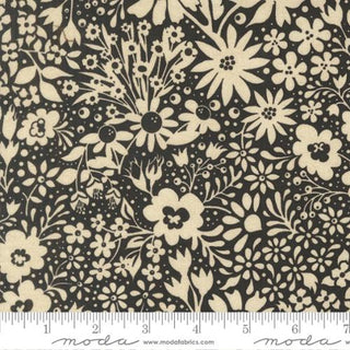 POSH NOIR 30770-21