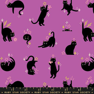 FREAKY FAMILIARS CATWALK WITCHY RS5193-13