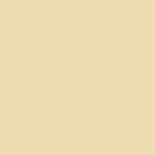 Century Solids  CS-10-Almond