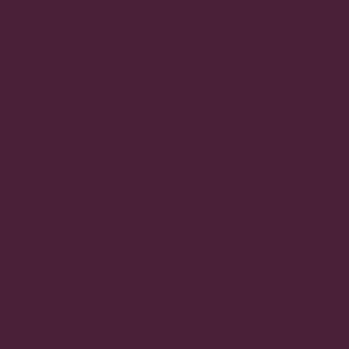 Century Solids  CS-10-Aubergine