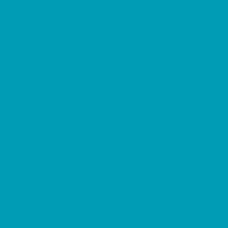 Century Solids  CS-10-Bahama
