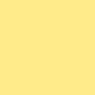 Century Solids  CS-10-Butternut Squash