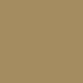 Century Solids  CS-10-Cafe au Lait
