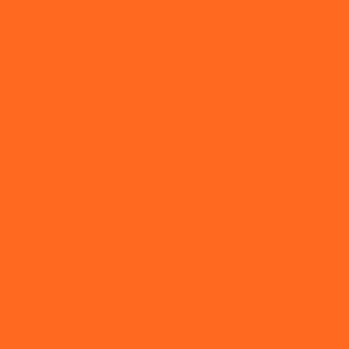 Century Solids  CS-10-Carrot