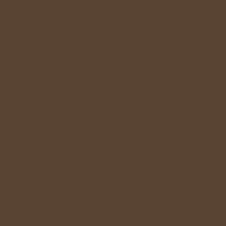 Century Solids  CS-10-Chocolate
