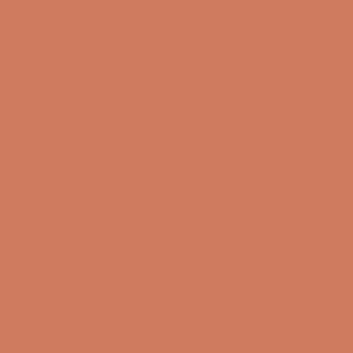 Century Solids  CS-10-Clay
