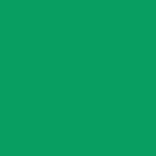 Century Solids  CS-10-Emerald