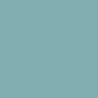 Century Solids  CS-10-Faded