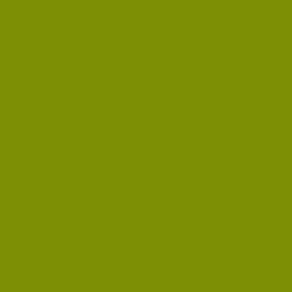 Century Solids  CS-10-Guacamole
