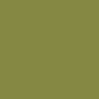 Century Solids  CS-10-Jalapeno