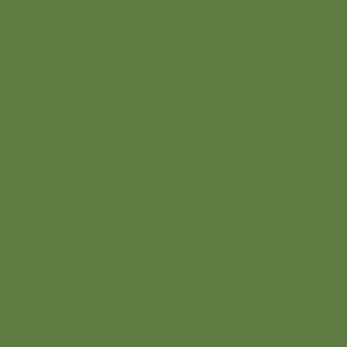 Century Solids  CS-10-Leaf