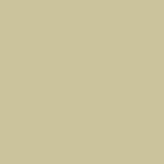 Century Solids  CS-10-Oatmeal