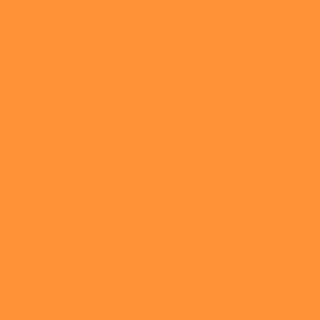 Century Solids  CS-10-Papaya