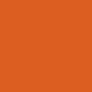 Century Solids  CS-10-Paprika