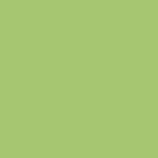 Century Solids  CS-10-Pear