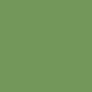 Century Solids  CS-10-Pickle