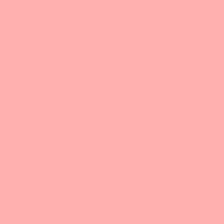 Century Solids  CS-10-Pink Lemonade