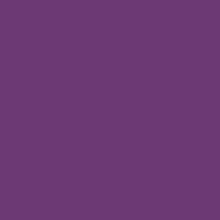 Century Solids  CS-10-Plum