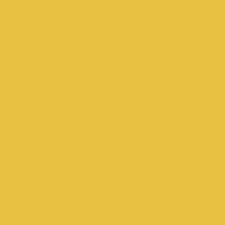 Century Solids  CS-10-Saffron