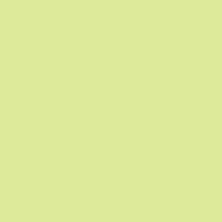 Century Solids  CS-10-Spring