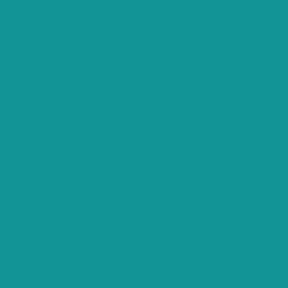 Century Solids  CS-10-Teal