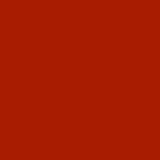 Century Solids  CS-10-Terracotta