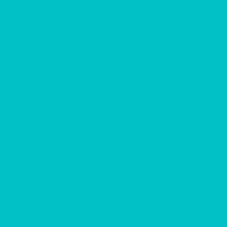 Century Solids  CS-10-Turquoise