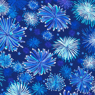 INDEPENDENCE DAY AHVD-22301-9 NAVY