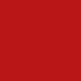 PAINTERS PALETTE REAL RED 121092
