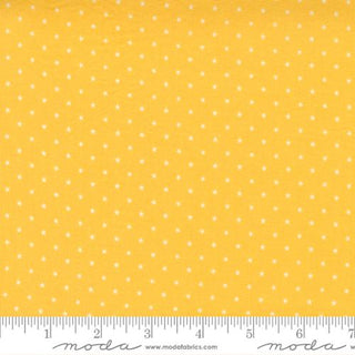 TWINKLE LEMONADE 24106-46